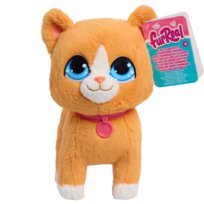 Orange Kitty JUP FURREAL