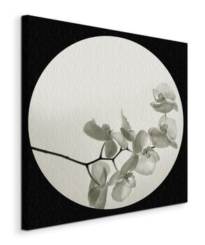 Orchid II - Obraz na płótnie - Art Group