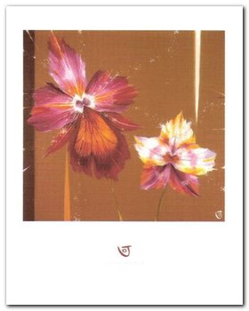 Orchids & Seeds plakat obraz 40x50cm - Wizard+Genius