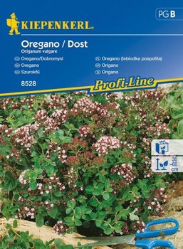 Oregano (lebiodka pospolita) mehrjährig Origanum vulgare - KIEPENKERL