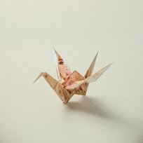 ORIGAMI! Kesha