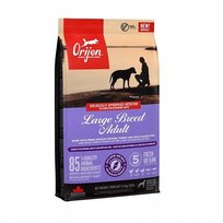 ORIJEN Adult Large Breed sucha karma dla psa 11.4KG