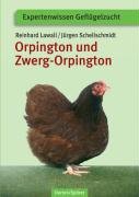 Orpington und Zwerg-Orpington Schellschmidt Jurgen, Lawall Reinhard