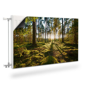 Osłona Magnetyczna Kaloryfera KRAJOBRAZ Leśny Natura 120cm x 60cm - Muralo