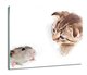 osłona na kuchenkę indukcyjną Kot i mysz 60x52, ArtprintCave - ArtPrintCave