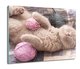 osłona na płytę indukcyjną Śpiący kot wełna 60x52, ArtprintCave - ArtPrintCave