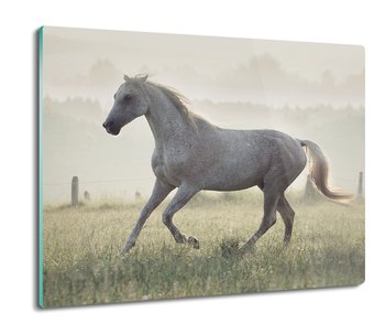 osłona płyty kuchennej Biegający biały koń 60x52, ArtprintCave - ArtPrintCave