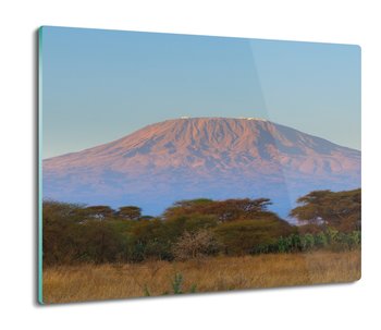 osłona płyty kuchennej Góra Afryka safari 60x52, ArtprintCave - ArtPrintCave