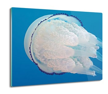 osłona płyty kuchennej Meduza ocean morze 60x52, ArtprintCave - ArtPrintCave