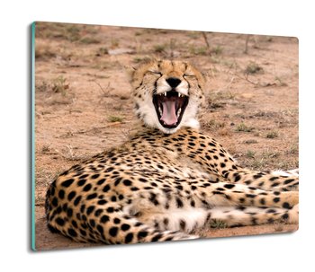 osłona płyty kuchennej z nadrukiem Gepard 60x52, ArtprintCave - ArtPrintCave