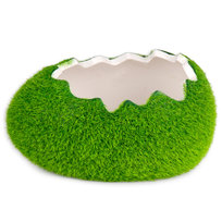 Osłonka, Easter, Jajko, Trawa, Zielony