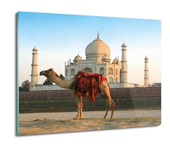 osłonka kuchenna druk Wielbłąd Taj Mahal 60x52, ArtprintCave - ArtPrintCave