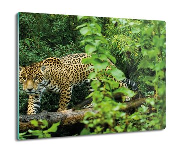 osłonka kuchenna szklana Jaguar dżungla las 60x52, ArtprintCave - ArtPrintCave