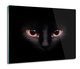 osłonka kuchenna z nadrukiem Kot rasowy oczy 60x52, ArtprintCave - ArtPrintCave