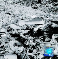 Ostateczny krach systemu korporacji