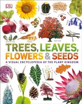 Our World in Pictures: Trees, Leaves, Flowers & Seeds Opracowanie zbiorowe