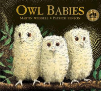 Owl Babies Waddell Martin