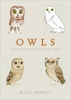 Owls - Sewell Matt