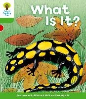 Oxford Reading Tree: Level 2: More Patterned Stories A: What is it? - Hunt Roderick