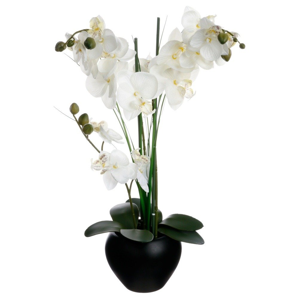 Ozdobna orchidea ATMOSPHERA w czarnej doniczce, biała, 53x28 cm