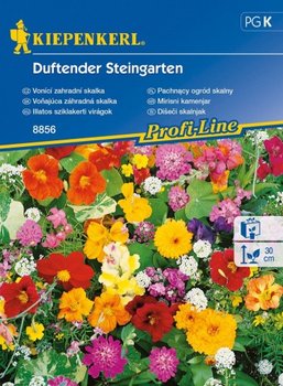 Pachnące Kwiaty Na Skalniak – Nasiona Kiepenkerl - KIEPENKERL