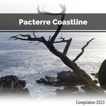 Pacterre Coastline Compilation 2023 - John Toso, Mauro Rawn, Benny Montaquila Dj