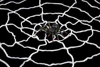 Pajęcza sieć XL z pająkiem