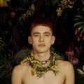 Palo Santo PL&nbsp;-&nbsp;Years & Years