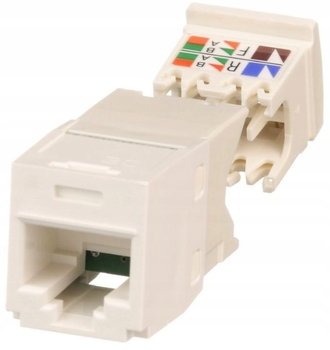 PANDUIT Minicom moduł RJ45 kat.6 UTP biały - Panduit