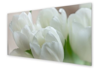 Panel kuchenny HOMEPRINT Białe kwiaty tulipana 100x50 cm - HOMEPRINT