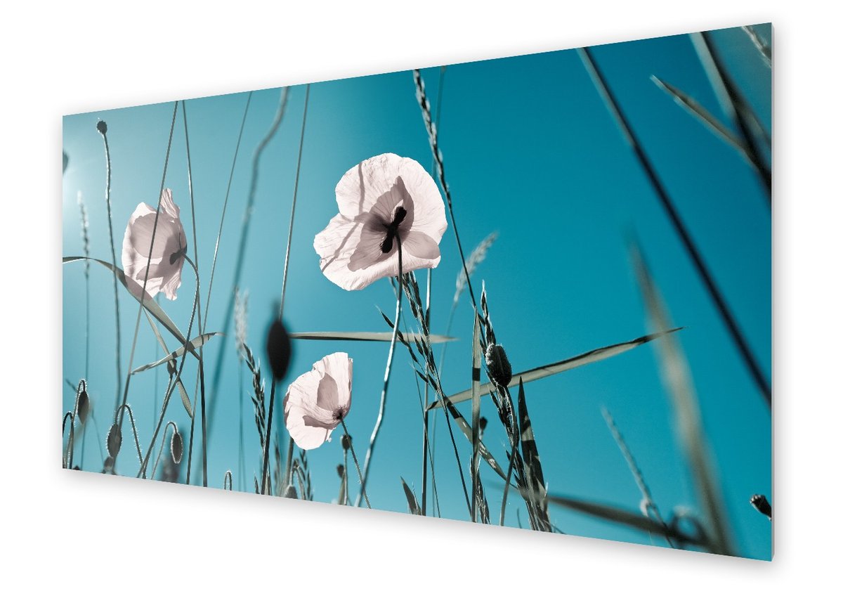 panel-kuchenny-homeprint-bia-e-maki-125x50-cm-homeprint-sklep-empik-com