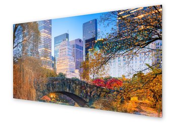 Panel kuchenny HOMEPRINT Central Park w Nowym Yorku 140x70 cm - HOMEPRINT