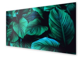 Panel kuchenny HOMEPRINT Duże liście egzotyczne 140x70 cm - HOMEPRINT