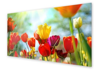 Panel kuchenny HOMEPRINT Kolorowe tulipany 125x50 cm - HOMEPRINT