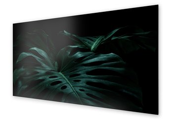 Panel kuchenny HOMEPRINT Liście monstera w mroku 120x60 cm - HOMEPRINT