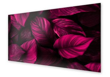 Panel kuchenny HOMEPRINT Neonowe liście egzotyczne 125x50 cm - HOMEPRINT