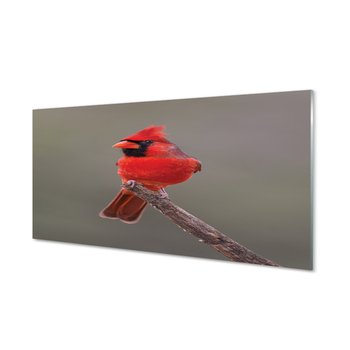 Panel ścienny Czerwona papuga na gałęzi 120x60 cm - Tulup