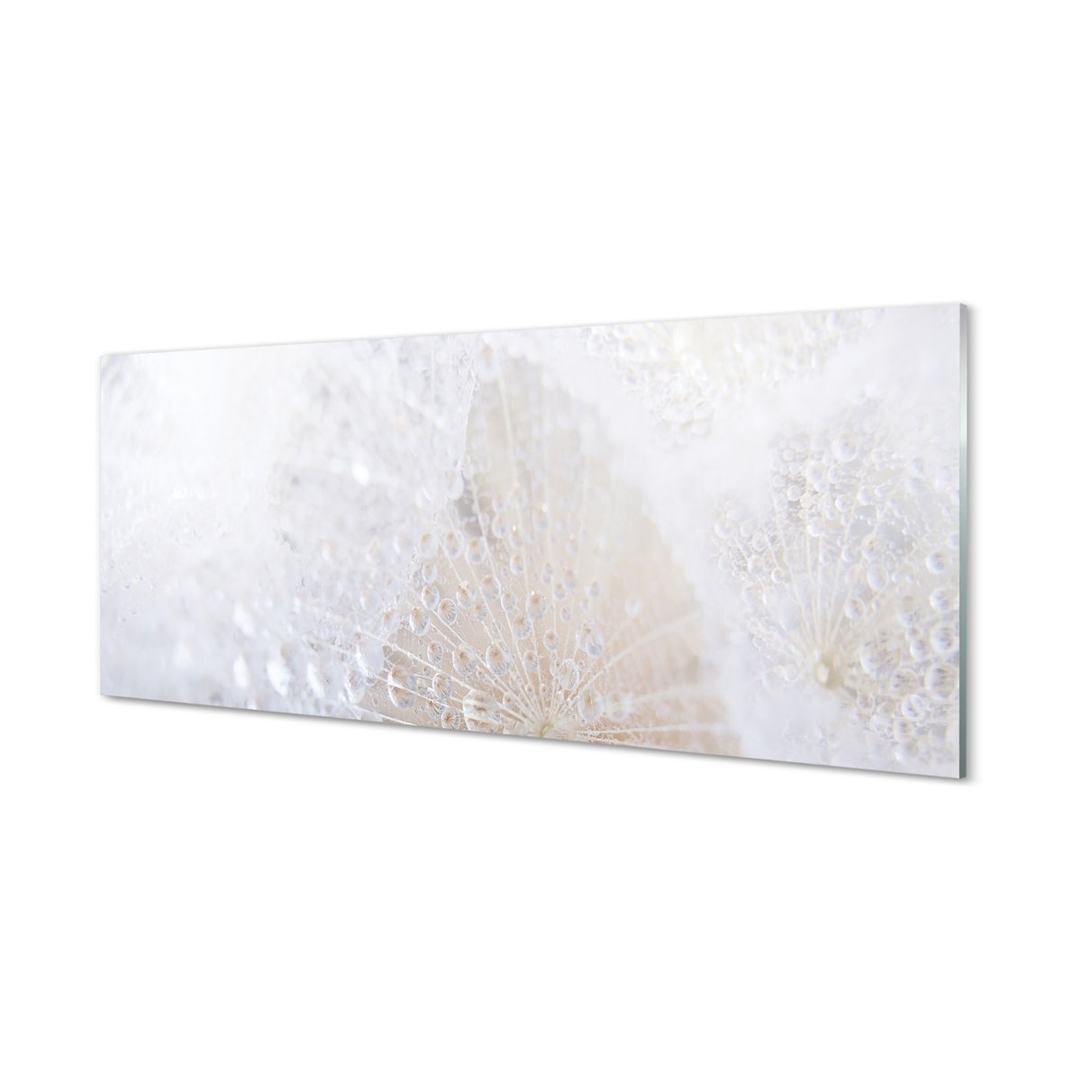 Panel ścienny Krople dmuchawiec abstrakcja 125x50 cm