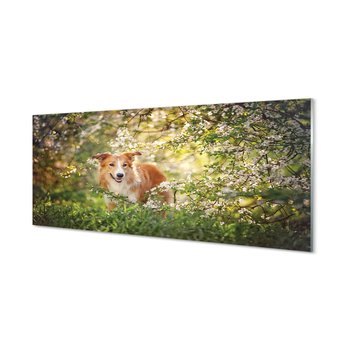 Panel szklany klej Pies las kwiaty 125x50 cm - Tulup