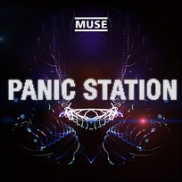 Panic Station Muse