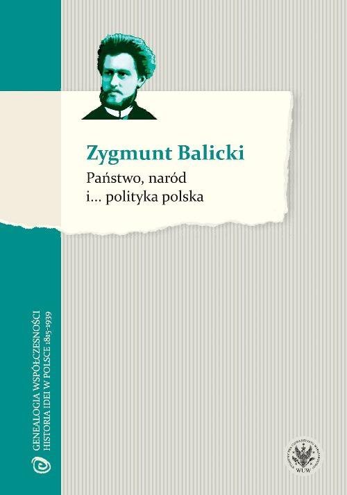 Państwo, naród i... polityka polska - ebook PDF