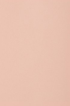 Papier brystol gładki kolorowy A3 j. różowy 250g 10 ark. - na prace plastyczne dla dzieci plastyków - Burano