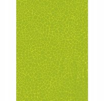 Décopatch® poes – sieradenboom – giraf/zebra – Creatieve Dingskes