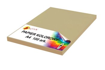 Papier kolorowy A4 160g brązowy gliniasty 50 arkuszy - Shan