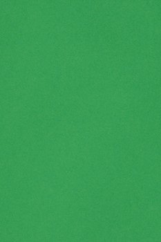 Papier kolorowy zielony Burano 250g 20 ark A4 - Burano