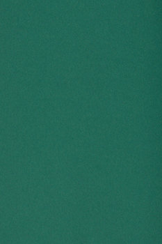 Papier ozdobny kolorowy wycinanka A5 c. zielony 250g 10 ark. - na okładki do albumów do prac scrapbookingowych - Burano