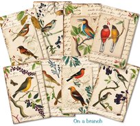 Papiery Do Scrapbookingu - Bileciki Prezentowe – Karneciki Zestaw M137 Na gałęzi 24szt