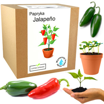 Papryka Jalapeno Chili Zestaw Do Uprawy - Papryki - Inny producent