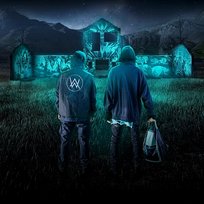 Paradise K-391, Alan Walker, Boy In Space