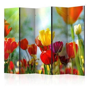 Parawan ARTGEIST Wiosenne tulipany II, 5-częściowy - ARTGEIST